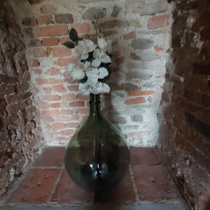Istanti - Rosmarino Apartment Costigliole Saluzzo Екстериор снимка